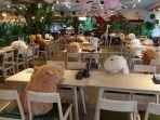 kafe-di-kebun-binatang-izu-shaboten-jepang.jpg