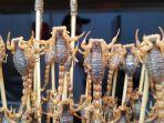 kalajengking-goreng-merupakan-satu-kuliner-ekstrem-thailand-yang-wajib-dicoba.jpg