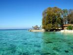 Pulau Terbesar di Dunia - Mengejutkan! Inilah Penilaian Dunia Terhadap Kalimantan dan Sumatera