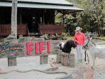 kampoeng-fifi-di-pulau-belitung.jpg