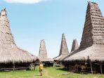 kampung-adat-ratenggaro-sumba-barat-daya_20180911_094435.jpg