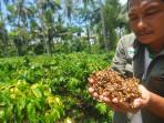 kampung-kopi_20161014_154606.jpg