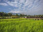 kampung-tematik-mulyaharja.jpg