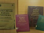 kamus-besar-bahasa-indonesia_20170803_125607.jpg