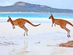 kanguru_20171116_190900.jpg