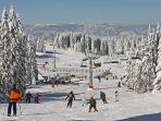 kapaonik-ski-resort-serbia.jpg