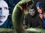 karakter-nangin-pada-film-fantastic-beasts_20180927_130943.jpg