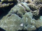karang_20161121_221913.jpg
