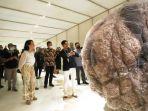 karya-seni-christine-ay-tjoe-yang-ditampilkan-di-artjog.jpg