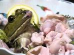 katak_20161213_104752.jpg