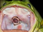 katak_20171018_121615.jpg