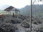 kawah-sileri_20170916_151930.jpg