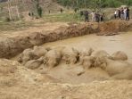 kawanan-gajah_20170409_153211.jpg