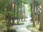 kawasan-taman-di-jewel-changi-airport.jpg