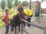 kawasan-wisata-the-ranch.jpg