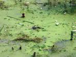 keadaan-sungai-di-china_20180110_175522.jpg