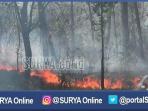 kebakaran-baluran_20160913_200520.jpg