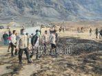 kebakaran-bukit-teletubbies-di-bromo.jpg