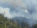 Kawasan Taman Nasional Bromo Tengger Semeru Alami Kebakaran Hutan, Bagaimana Aktivitas Pendakian?