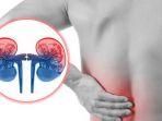 kebiasaan-yang-dapat-merusak-ginjal.jpg