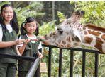 kebun-binatang-bandung-weekend.jpg