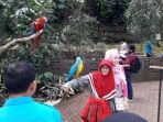 kebun-binatang-bandung_20180617_153331.jpg
