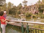 kebun-binatang-ragunan-img.jpg