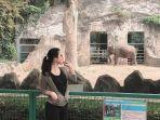 kebun-binatang-ragunan-jakarta-selatan.jpg