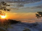 kebun-buah-mangunan_20171229_091146.jpg