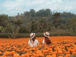 kebun-bunga-gemitir.jpg
