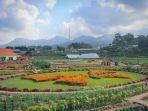kebun-bunga-refugia-di-magetan.jpg