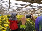 kebun-bunga_20161130_174304.jpg