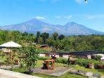 kebun-pak-budi.jpg