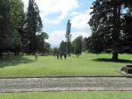 kebun-raya-cibodas-1.jpg