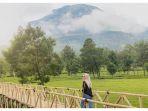 kebun-teh-tambi-tempat-wisata-di-wonosobo-yang-keindahannya-viral-di-media-sosial.jpg