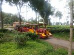 kebun-teh-wonosari_20170131_201130.jpg