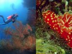 keindahan-laut-indonesia_20171213_093923.jpg