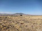 kekeringan-di-ethiopia.jpg