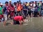 kemunculan-buaya-kuning.jpg