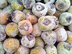 kenapa-buah-kesemek-diselimuti-serbuk-warna-putih-seperti-bedak.jpg