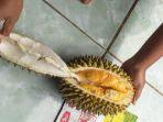 kencono-rukmi-buah-khas-kapanewon-patuk.jpg