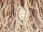 kepala-buddha-wat-mahathat-yang-tertutup-akar.jpg