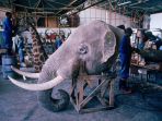 kepala-gajah-diawetkan_20180308_152807.jpg
