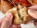 kepiting-buncit-dari-santapdirumah.jpg