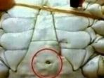 kepiting_20170627_114003.jpg