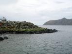 kepulauan-diomede_20161009_113559.jpg