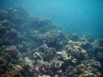 kepulauan-mursala_20170429_204621.jpg