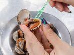 kerang-darah-dapat-berbahaya-bagi-tubuh.jpg