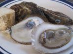 kerang-mutiara-1.jpg