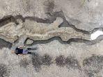 kerangka-ichthyosaurus-yang-dinamai-dengan-naga-laut-ditemukan-di-inggris.jpg